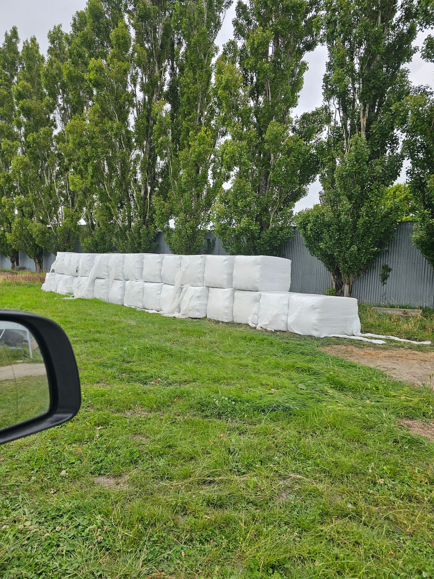 Lucerne balage