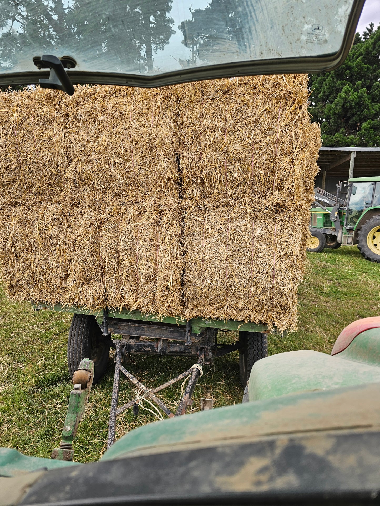 Wheat straw, medium square bales