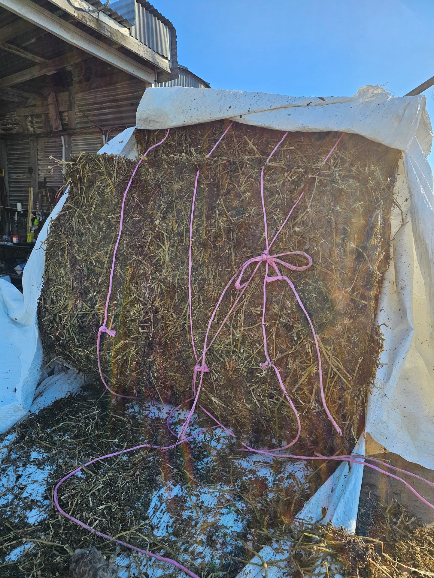 Lucerne balage