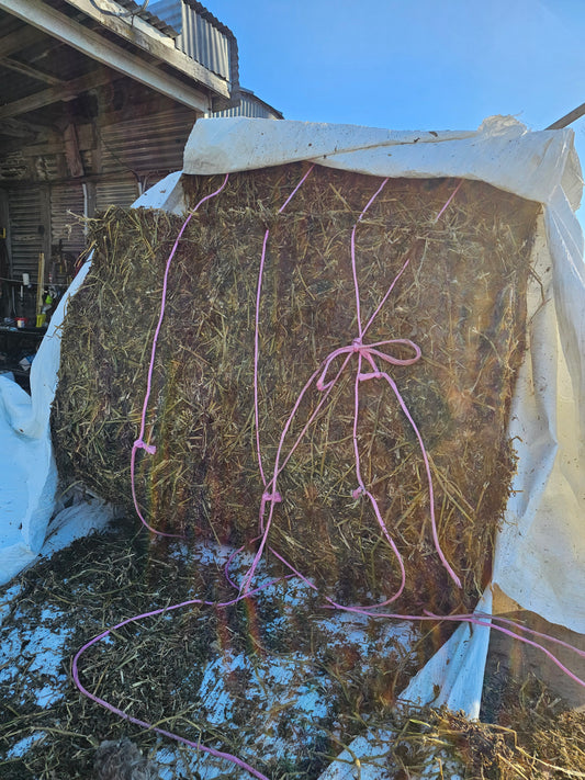Lucerne balage