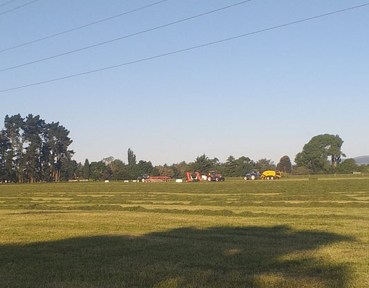 Meadow balage